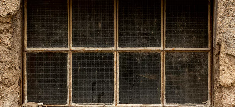 Traditional Double Front Doors in Port St. Lucie, FL