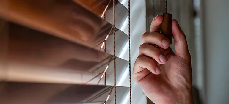 Double Roller Blinds in Port St. Lucie, FL