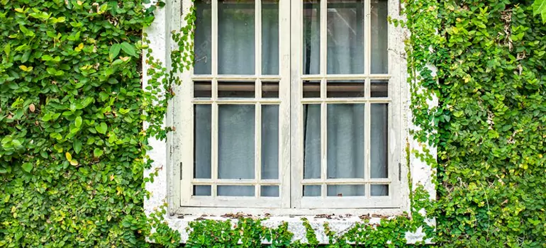 Garden Window Repair Near Me in Port St. Lucie, FL