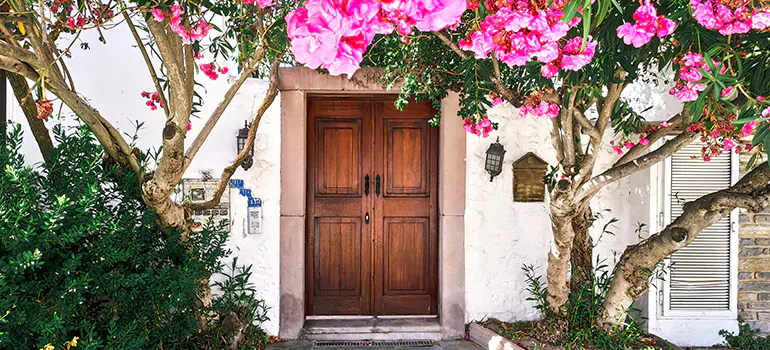 Traditional 4 Panel Internal Doors in Port St. Lucie, FL