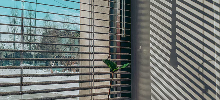 Commercial Window Blinds in Port St. Lucie, FL