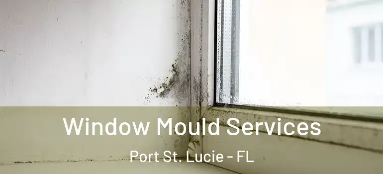 Window Mould Services Port St. Lucie - FL